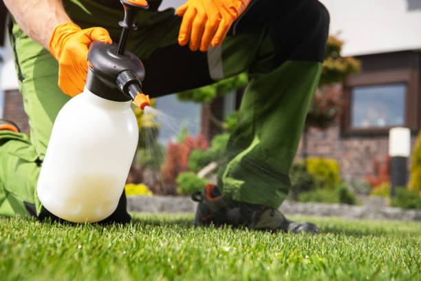 Best Residential Pest Control  in Cos Co, CT