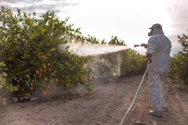 Best Pest Removal Services  in Cos Co, CT