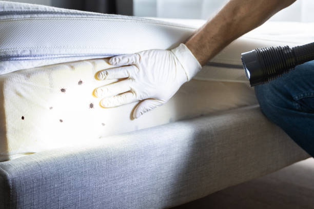 Best Mosquito Control Services  in Cos Co, CT